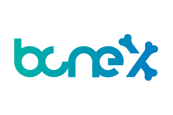 BoneX.png